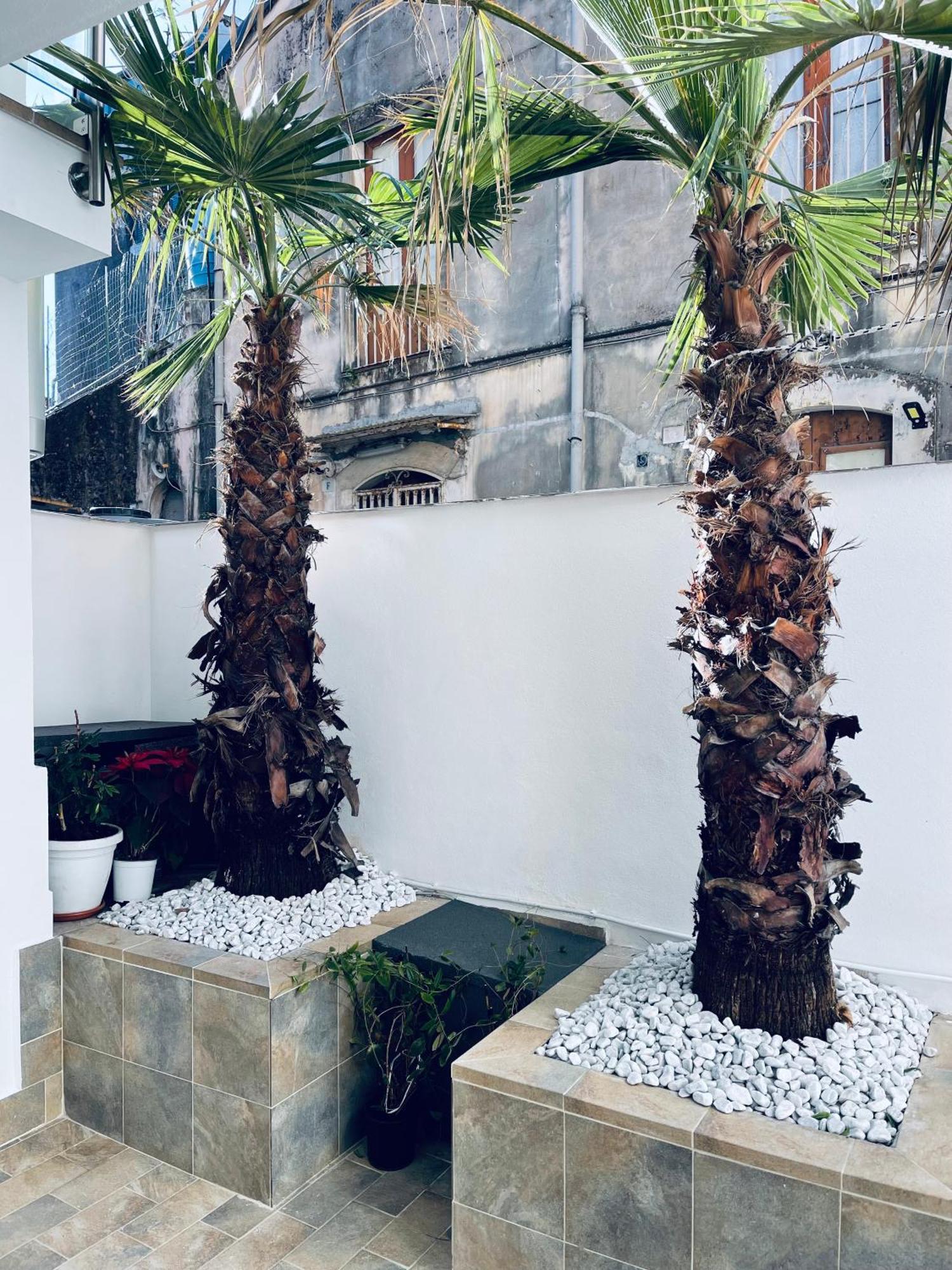 King House Catania Hostel Ostello Zewnętrze zdjęcie